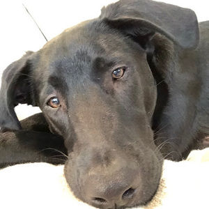 Meet your Posher, Evan